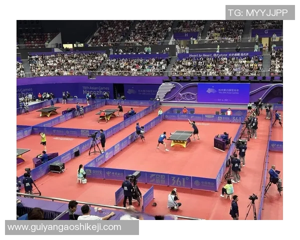 杭州乒乓球队中路突破的成功与不足分析及未来发展方向探讨 杭州乒乓球队中路突破的成功与不足分析及未来发展方向探讨