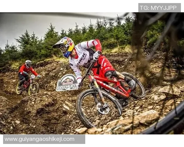 2026极限运动实力排行榜：深圳极限运动队位居第2名