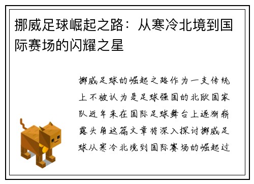 挪威足球崛起之路：从寒冷北境到国际赛场的闪耀之星