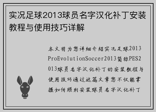 实况足球2013球员名字汉化补丁安装教程与使用技巧详解
