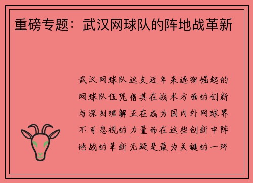 重磅专题：武汉网球队的阵地战革新